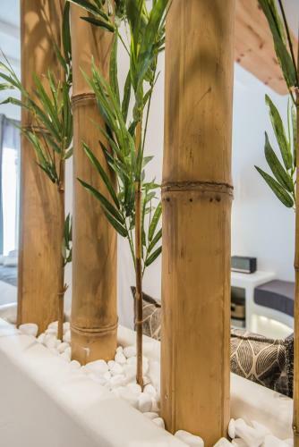 Posada Bohemia Luxury Living