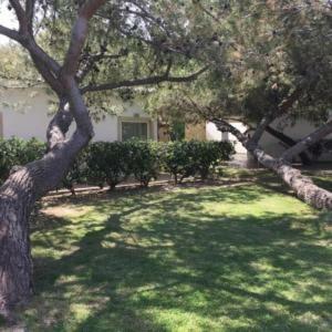 Hotel Marzi Beach And Bungalows