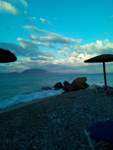Hotel Marzi Beach And Bungalows