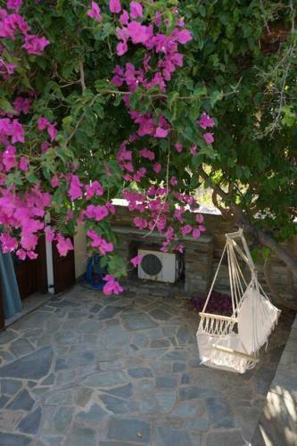 2ag252-house With A Pool In Andros