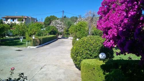 Nefeli House