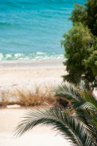 Hotel Acron Suites