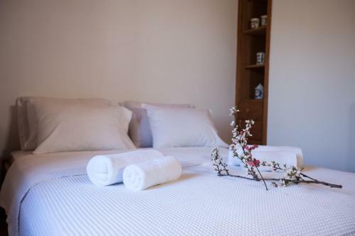Evilion Escape Villa Pelion