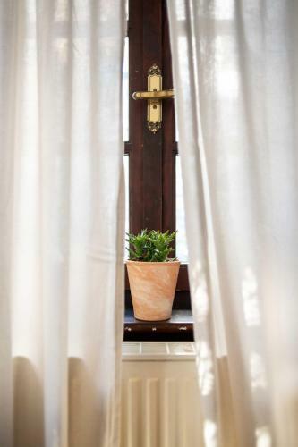 Hostal Philos Guesthouse
