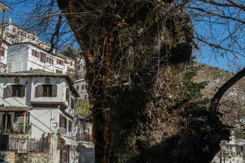 Hostal Philos Guesthouse