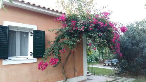 Nemorosa Apartments