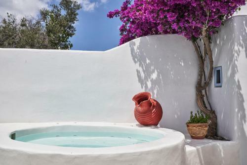 2 Bedroom Charming Villa With Outdoors Jacuzzi