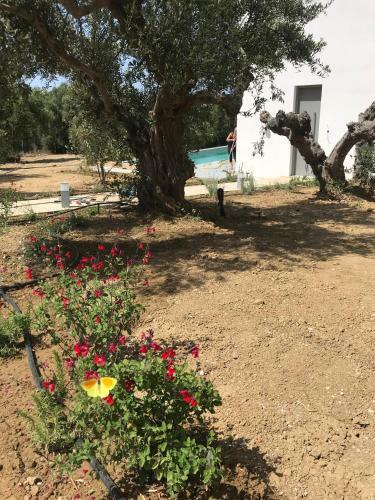 Villa Kalypso Residence