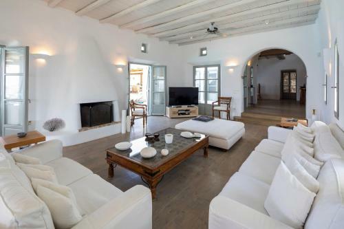 Black Diamond Luxurious Villa Mykonian Blue