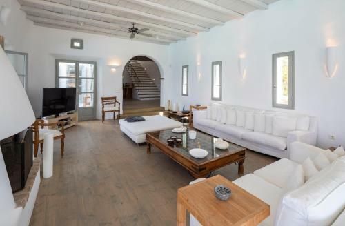 Black Diamond Luxurious Villa Mykonian Blue