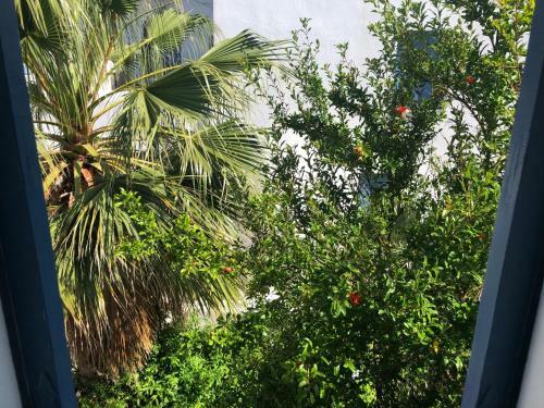 Bed & Breakfast Rania Apartments Sea View