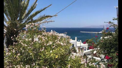 Bed & Breakfast Rania Apartments Sea View
