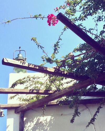 Bed & Breakfast Rania Apartments Sea View