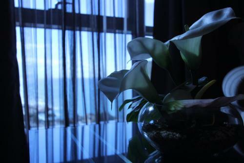 Elite Duroy Hotel & Spa
