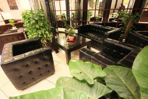 Plasma Hotel Tripoli