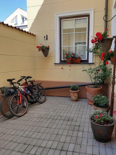 Hotel Preliudija