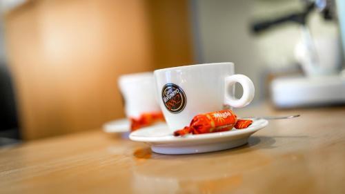 Hotel Aribe
