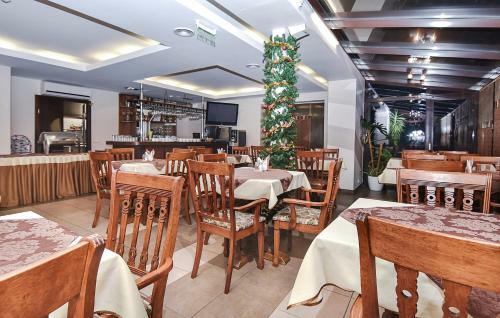 Hotel Ivolita
