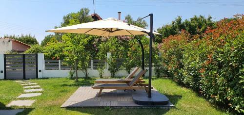 Hostal Thea Suites