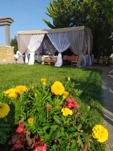 Bed & Breakfast Muses Deluxe Apartments