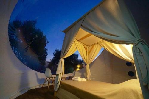 Bubble Suites