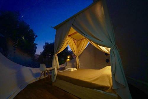 Bubble Suites