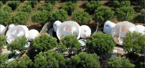 Bubble Suites