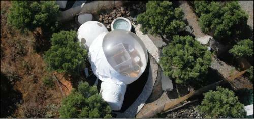 Bubble Suites