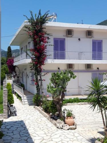 Hotel Nidri Studios Apartments