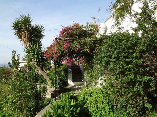 Old Stone Villa Palaiopolis Andros