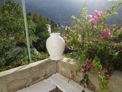 Old Stone Villa Palaiopolis Andros