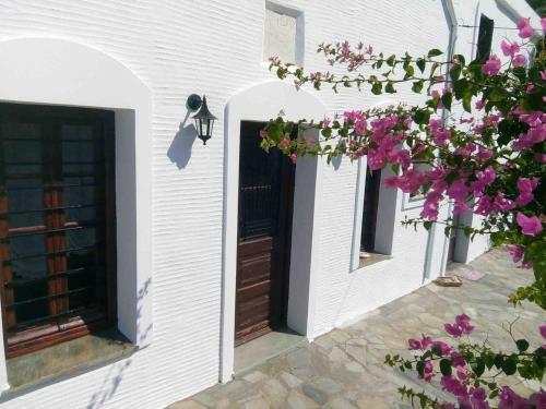Old Stone Villa Palaiopolis Andros