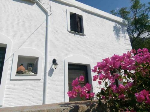 Old Stone Villa Palaiopolis Andros