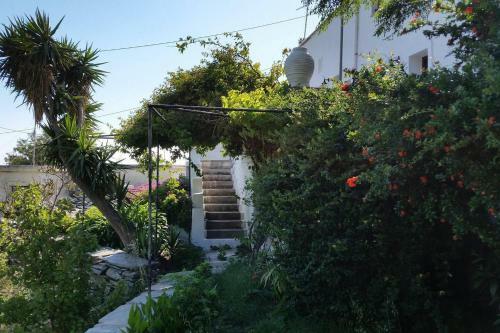 Old Stone Villa Palaiopolis Andros
