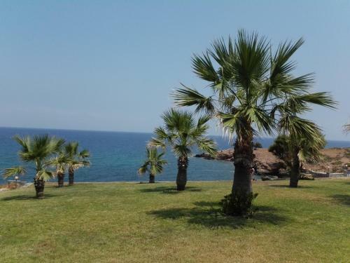 Stella Beach Hotel