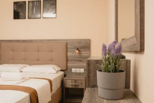 Apartamento Ino Luxury Rooms