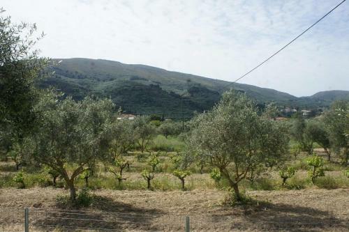 Beautiful 2-bed Villa In Zakynthos