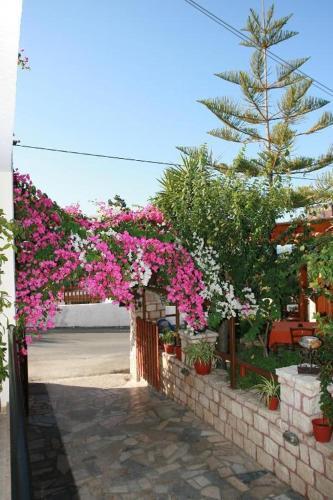 Inviting Arokaria Apartment In Panormo