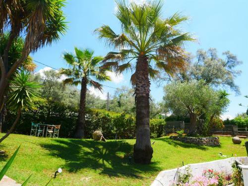 Apartamento Grigoris Garden