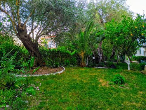 Apartamento Harmony Garden