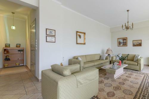 1bd Apartment In The Center