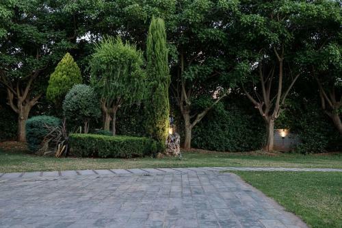 Villa 7