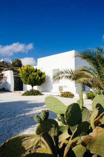 Vineyard Cycladic House