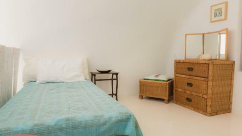 Vineyard Cycladic House
