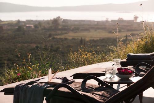 Unique Designer Villa Near Pylos