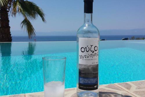 Luxurious Cosy Villa Breathtaking Seaview Pool