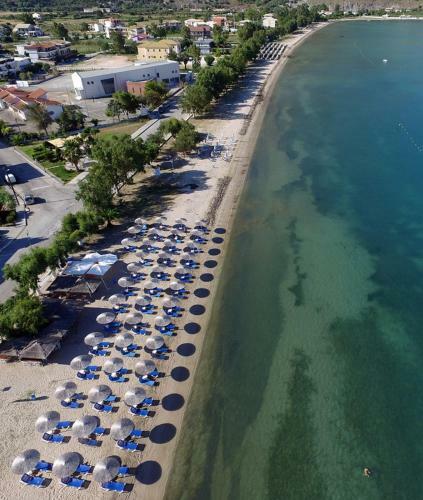 Hostal Plataria Palace