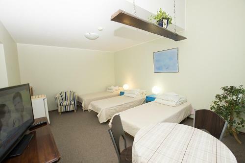 Hostal Guest House Drusva