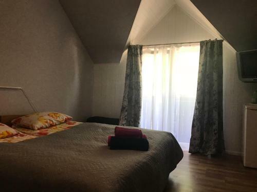 Hostal Druspolis