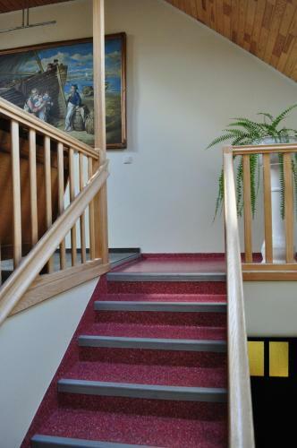 Hostal Molo U?eiga Inn